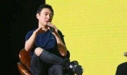 吃瓜娱乐王思聪是谁,王思聪的传奇人生